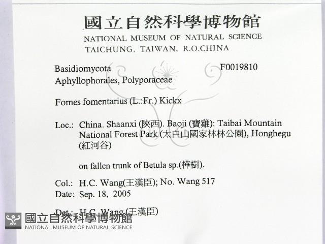 登錄號:F0019810藏品圖，第2張