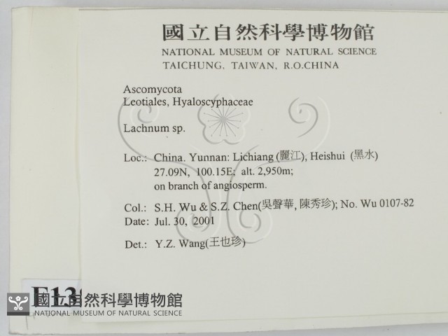 登錄號:F0013810藏品圖，第2張