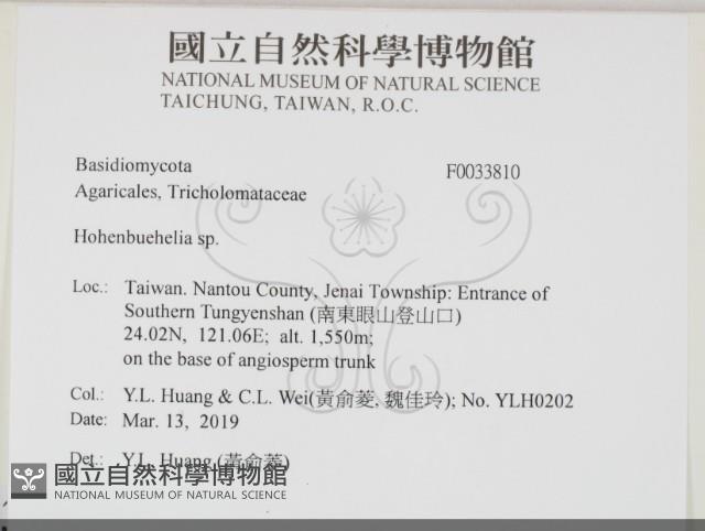 登錄號:F0033810藏品圖，第2張