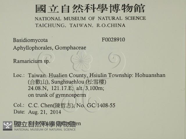 登錄號:F0028910藏品圖，第2張