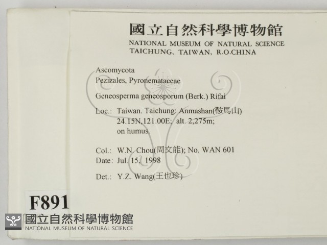 登錄號:F0008910藏品圖，第2張