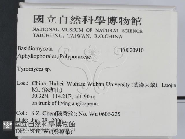 登錄號:F0020910藏品圖，第2張