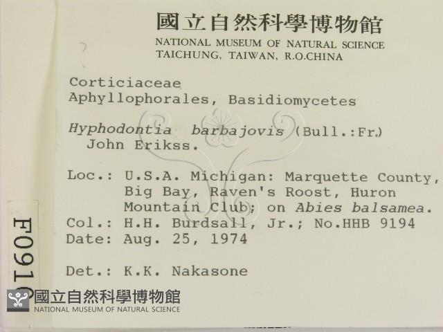登錄號:F0000910藏品圖，第2張