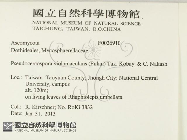 登錄號:F0026910藏品圖，第2張