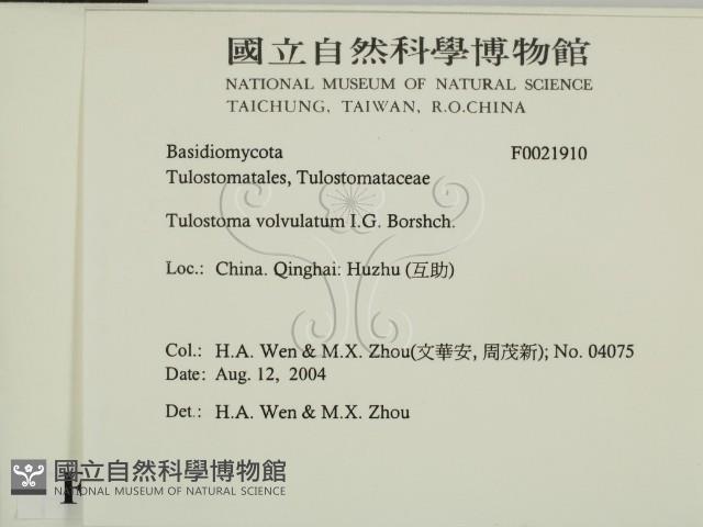 登錄號:F0021910藏品圖，第2張