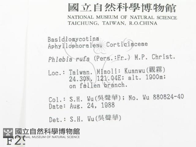 登錄號:F0002910藏品圖，第2張