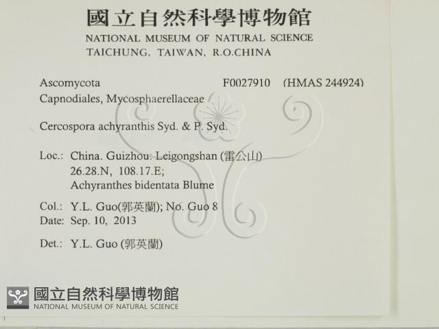 登錄號:F0027910藏品圖，第2張