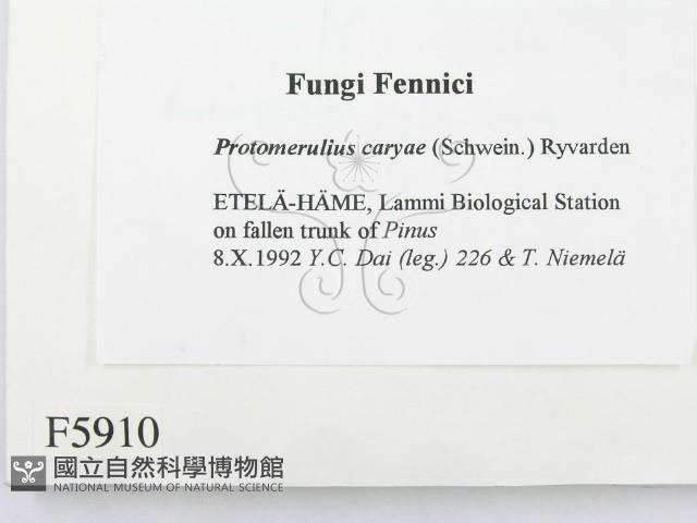 登錄號:F0005910藏品圖，第2張