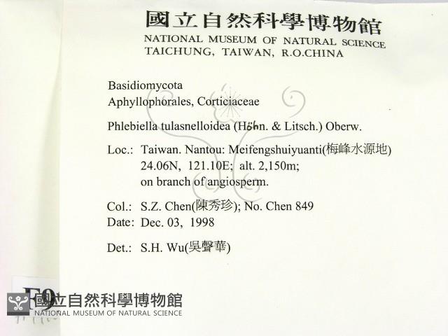 登錄號:F0009910藏品圖，第2張