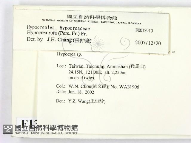 登錄號:F0013910藏品圖，第2張