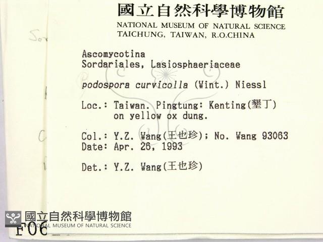 登錄號:F0000610藏品圖，第2張
