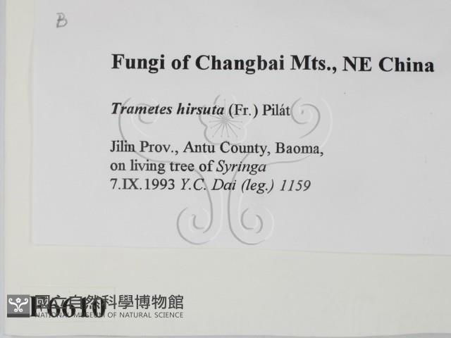 登錄號:F0006610藏品圖，第2張