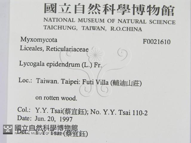 登錄號:F0021610藏品圖，第2張