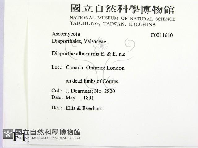 登錄號:F0011610藏品圖，第2張