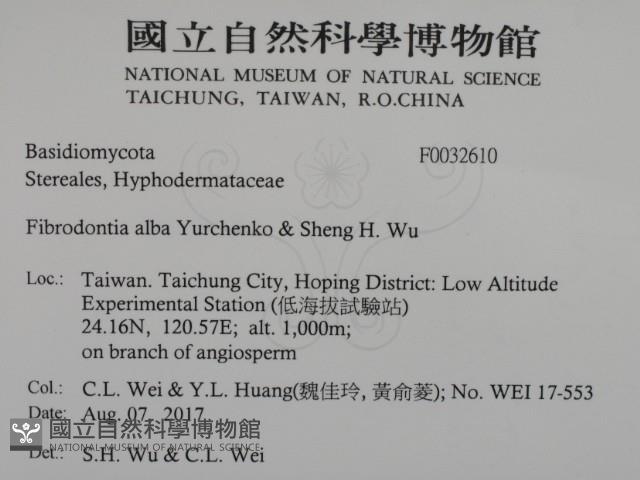 登錄號:F0032610藏品圖，第2張