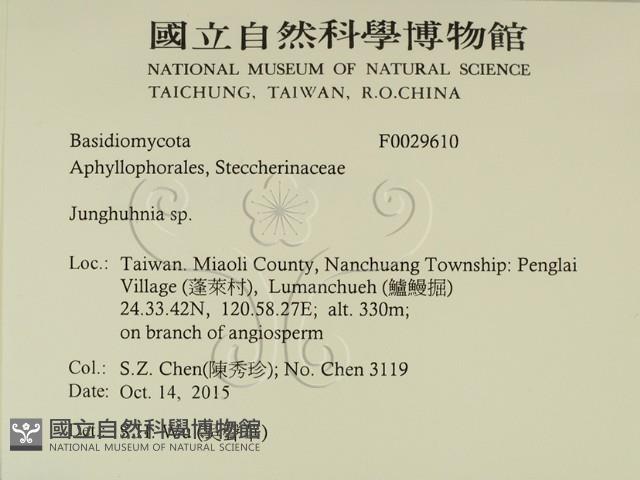 容氏菌屬藏品圖，第2張