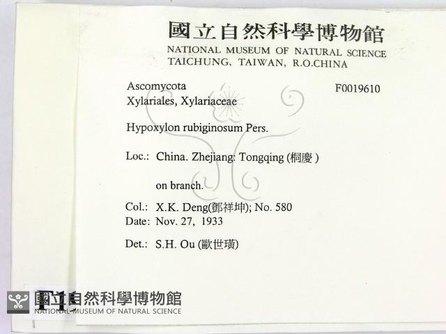 登錄號:F0019610藏品圖，第2張