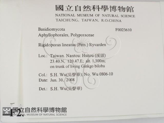 登錄號:F0023610藏品圖，第2張