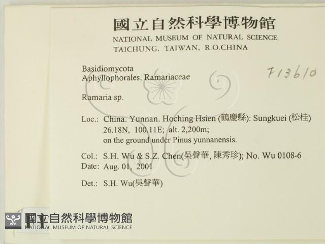 登錄號:F0013610藏品圖，第2張