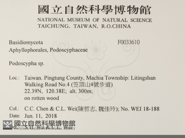 登錄號:F0033610藏品圖，第2張