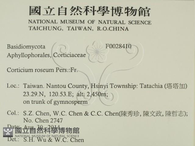 登錄號:F0028410藏品圖，第2張