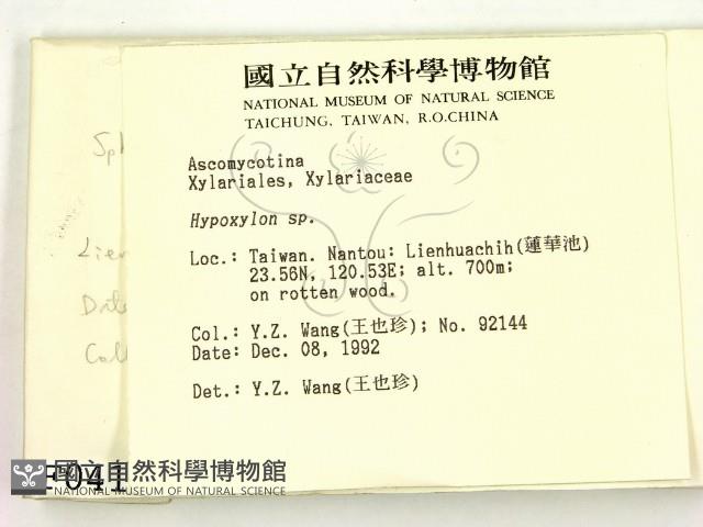 登錄號:F0000410藏品圖，第2張