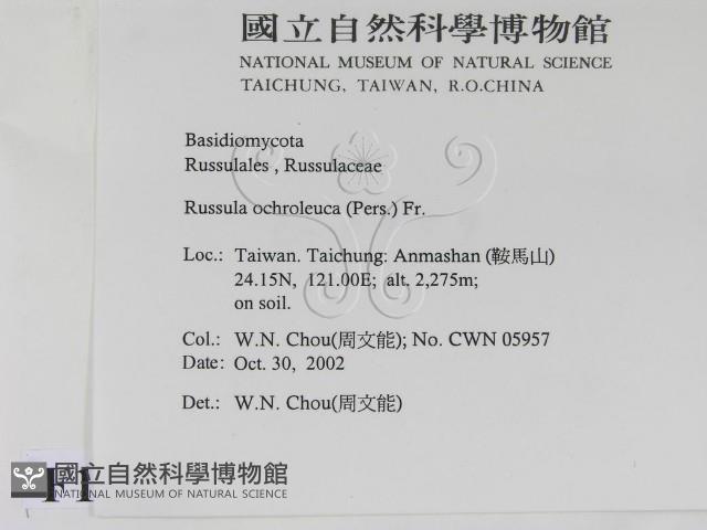 登錄號:F0016410藏品圖，第2張