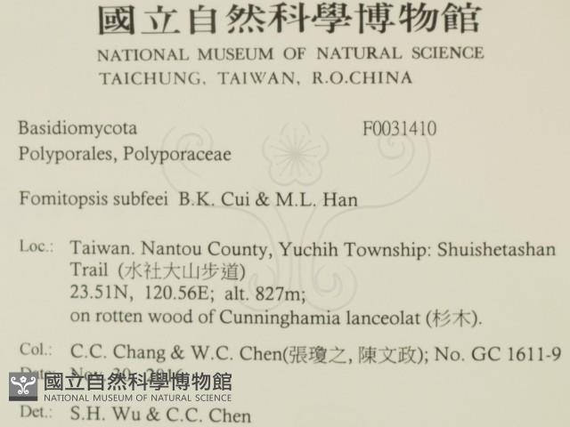 登錄號:F0031410藏品圖，第2張