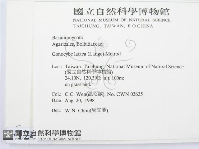 登錄號:F0012410藏品圖，第2張