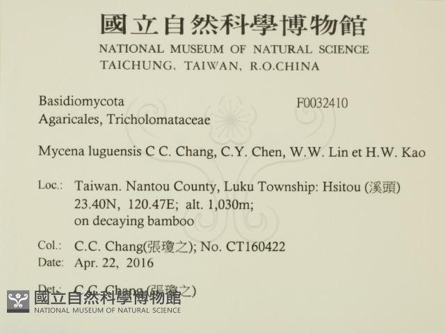 登錄號:F0032410藏品圖，第2張