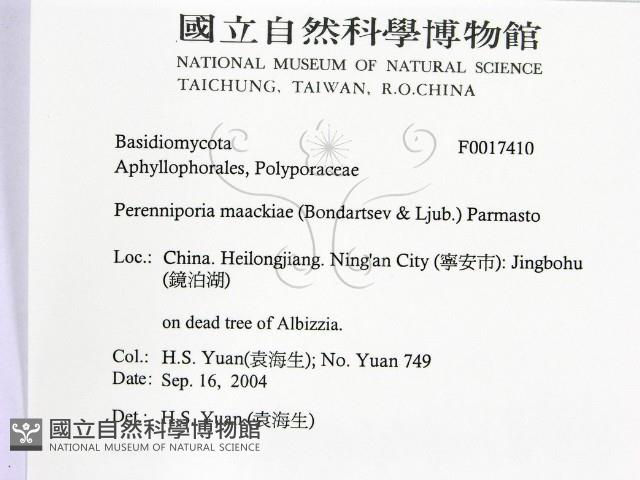 登錄號:F0017410藏品圖，第2張