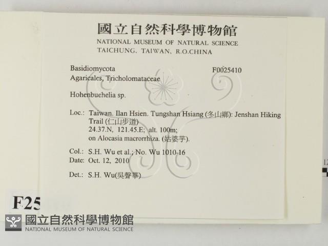 登錄號:F0025410藏品圖，第2張