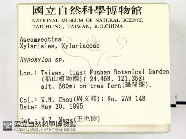 登錄號:F0003410藏品圖，第2張