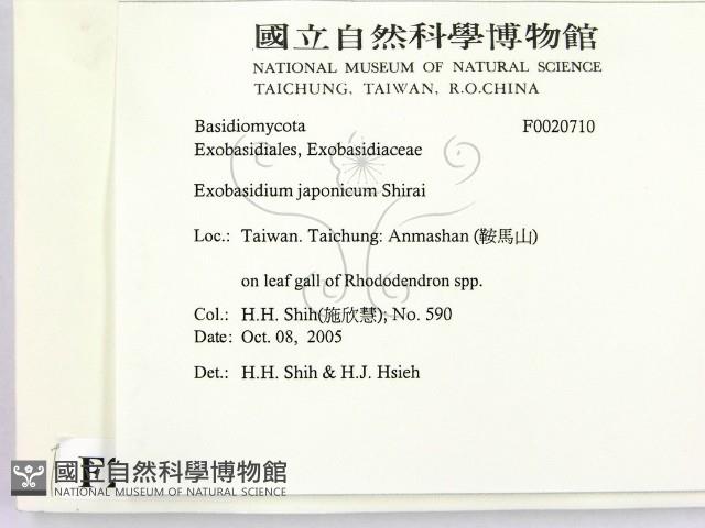 登錄號:F0020710藏品圖，第2張
