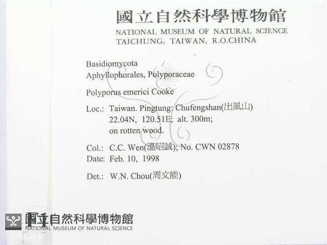 登錄號:F0010710藏品圖，第2張