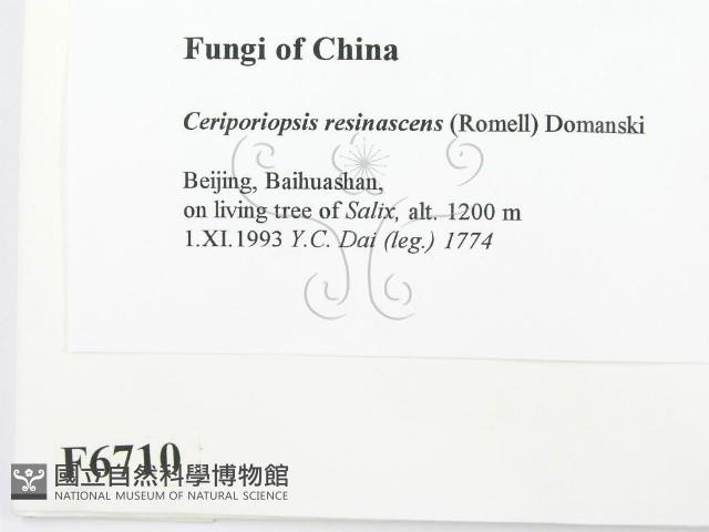 登錄號:F0006710藏品圖，第2張