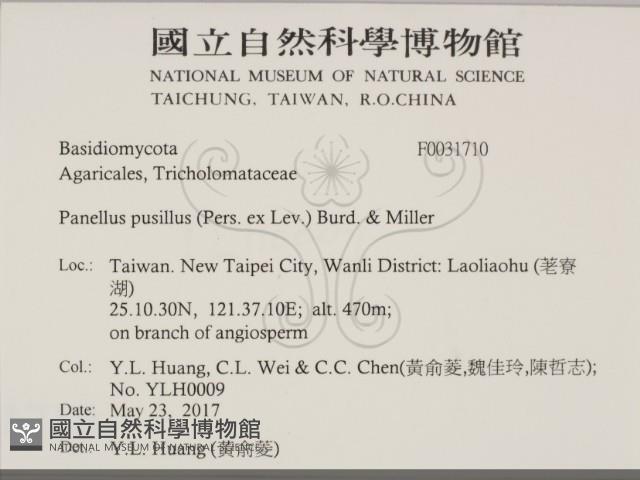 登錄號:F0031710藏品圖，第2張