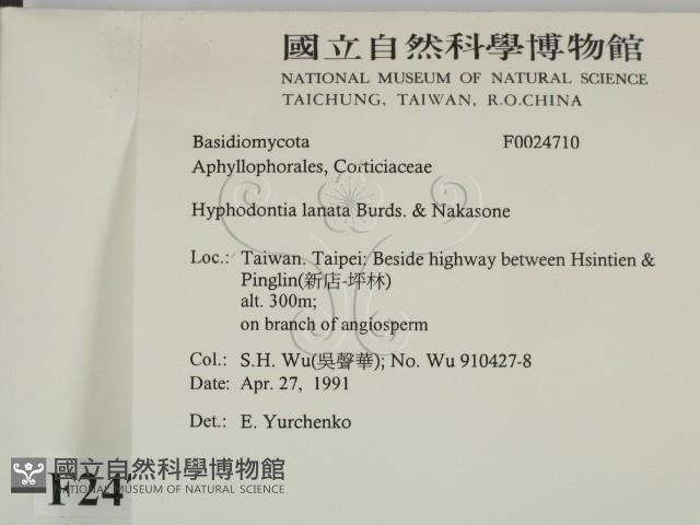 登錄號:F0024710藏品圖，第2張