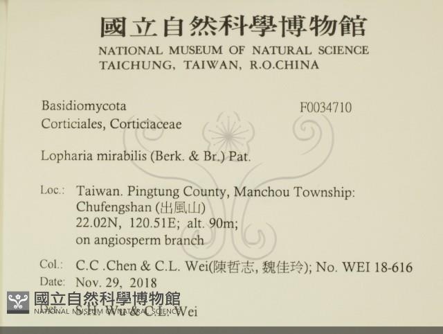 登錄號:F0034710藏品圖，第2張