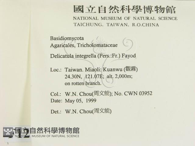 登錄號:F0012710藏品圖，第2張