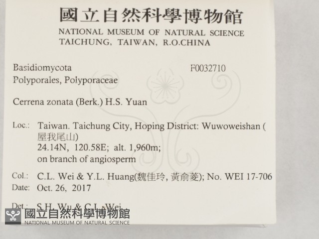 登錄號:F0032710藏品圖，第2張