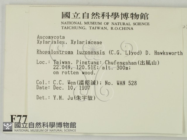 登錄號:F0007710藏品圖，第2張