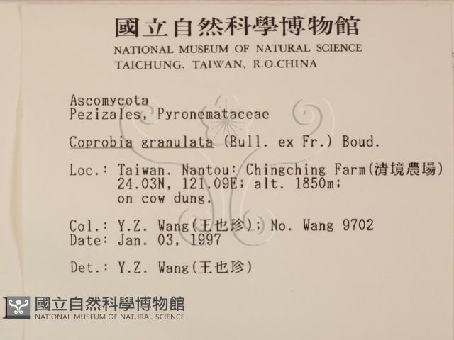 登錄號:F0005710藏品圖，第2張
