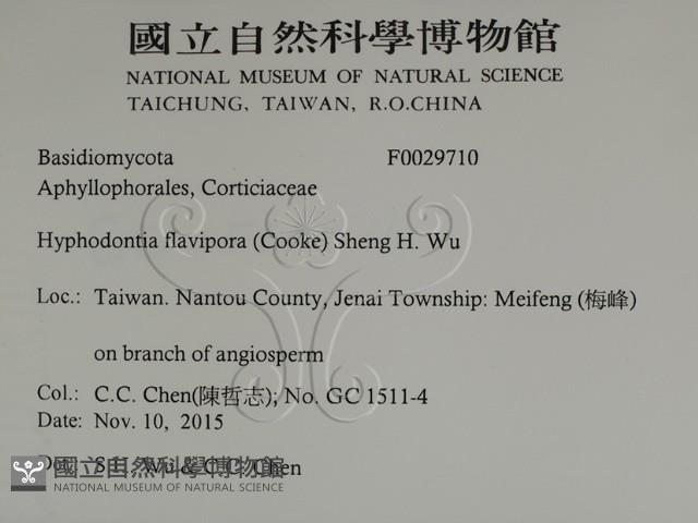 登錄號:F0029710藏品圖，第2張