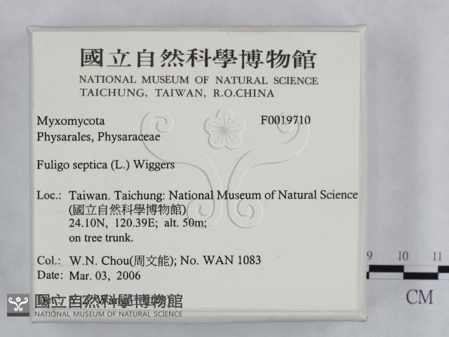 登錄號:F0019710藏品圖，第2張