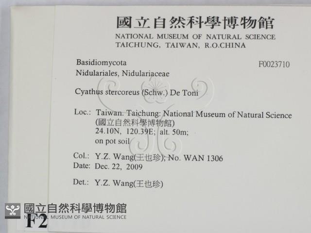 登錄號:F0023710藏品圖，第2張