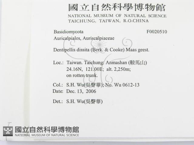 登錄號:F0020510藏品圖，第2張