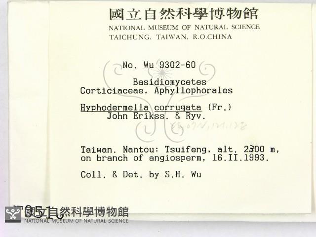 登錄號:F0000510藏品圖，第2張
