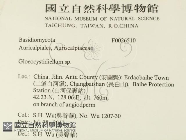 登錄號:F0026510藏品圖，第2張