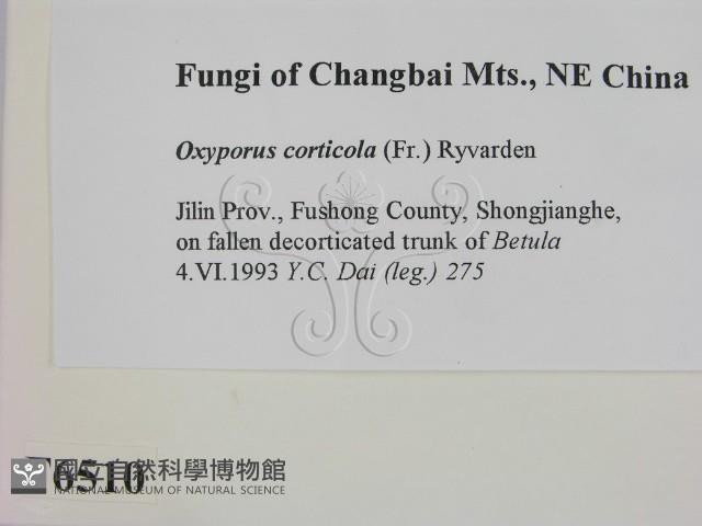 登錄號:F0006510藏品圖，第2張